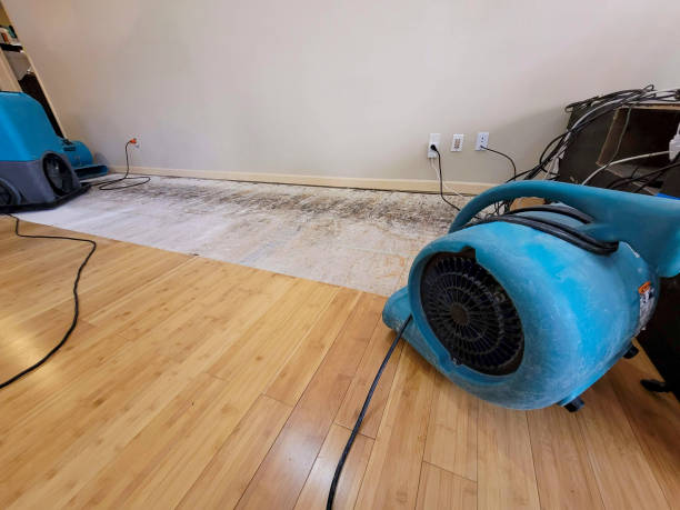 Professional Sewage Cleanup technician working in Drexel, NC